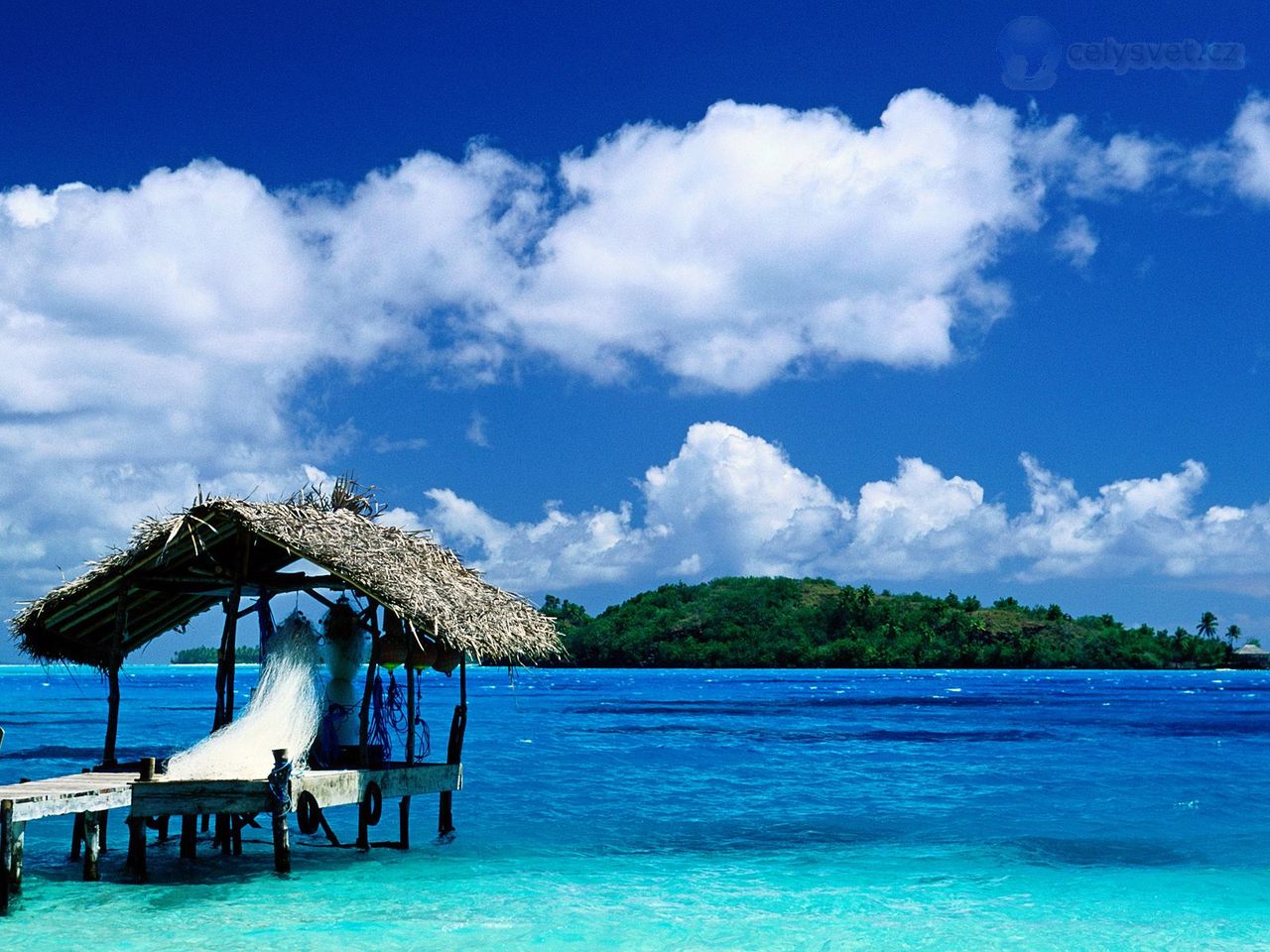 thatched-hut--bora-bora--french-polynesia